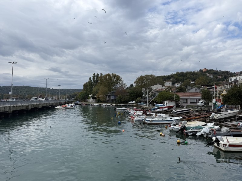 Büyükdere